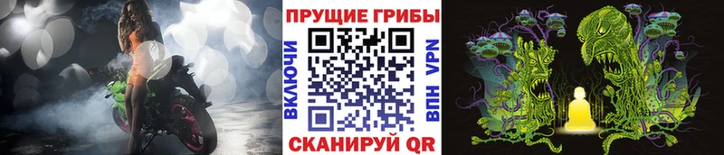 Псилоцибиновые грибы прущие грибы  Купить где  Новоаннинский 